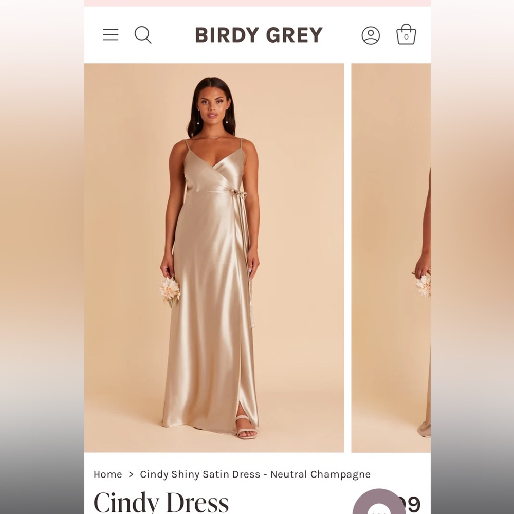 Birdy Grey Cindy Dress